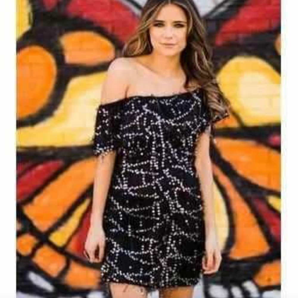 Southern fried Chics dress